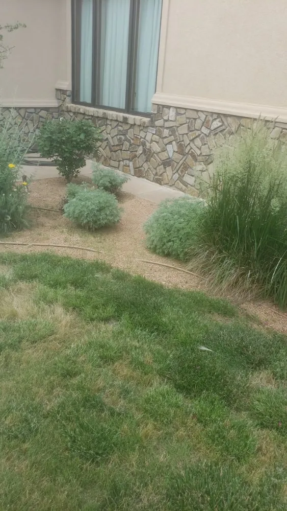 Expert landscape design in Amarillo, TX by Hold Fast Lawn Care