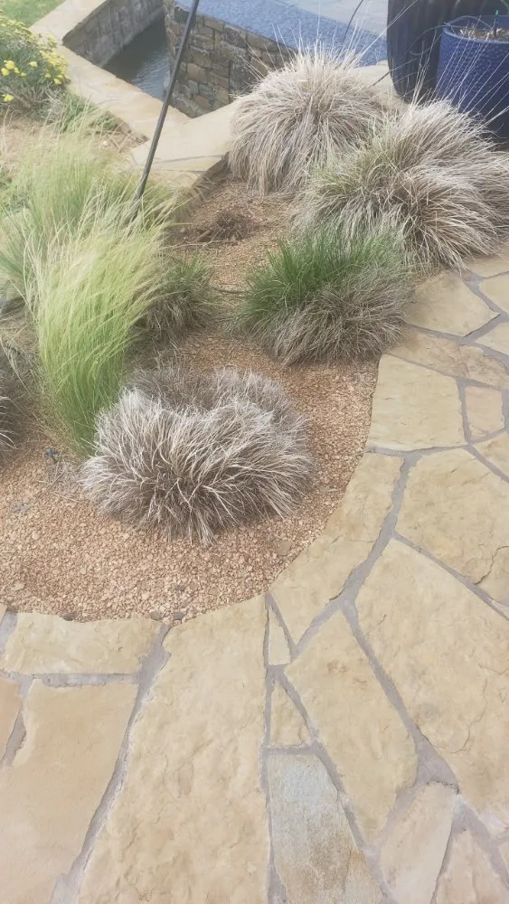 Reliable residential landscaping in Amarillo, TX by Hold Fast Lawn Care