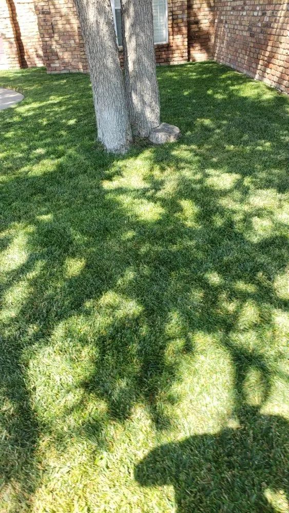 Professional garden landscaping in Amarillo, TX - Hold Fast Lawn Care