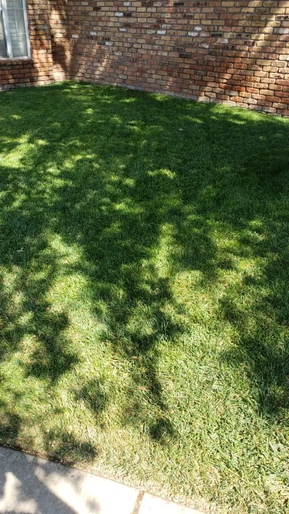 Local landscape design for beautiful yards in Amarillo, TX by Hold Fast Lawn Care