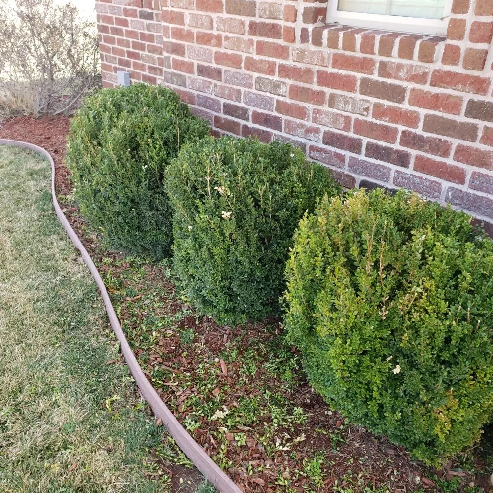 Top-rated outdoor landscaping experts serving Amarillo, TX - Hold Fast Lawn Care