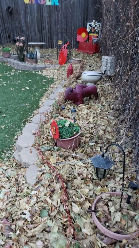 Top-rated outdoor landscaping for year-round maintenance in Amarillo, TX by Hold Fast Lawn Care