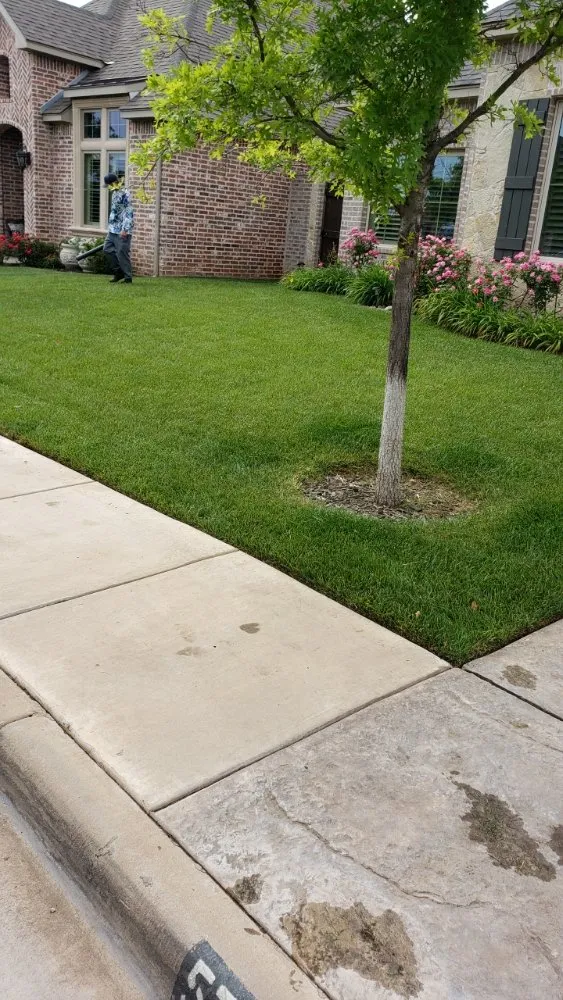 Expert yard cleanup service in Amarillo, TX by Hold Fast Lawn Care