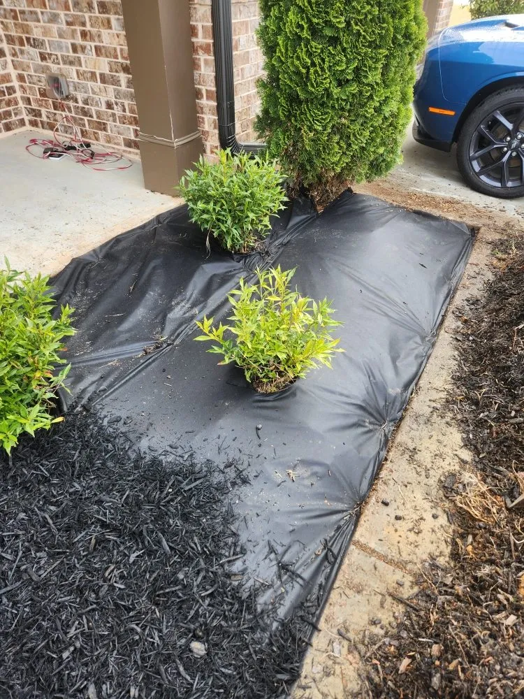 Trusted lawn mowing service in Jefferson, GA - Hold the Line Lawn Care