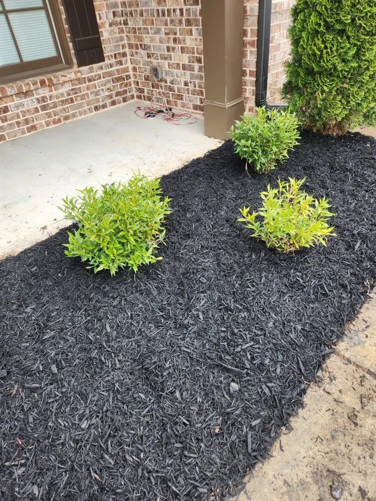 Professional landscape installation experts serving Jefferson, GA - Hold the Line Lawn Care