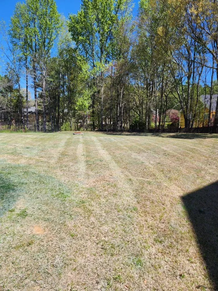 Affordable landscaping services for beautiful yards across Jefferson, GA - Hold the Line Lawn Care