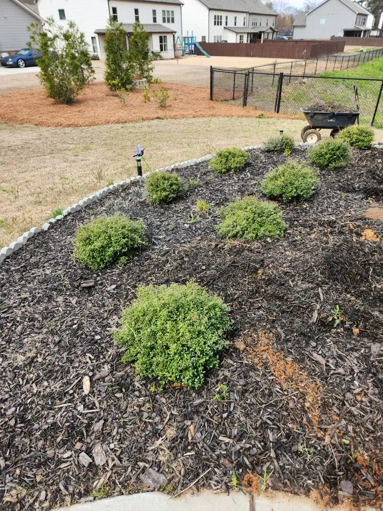 Local outdoor landscaping in Jefferson, GA by Hold the Line Lawn Care