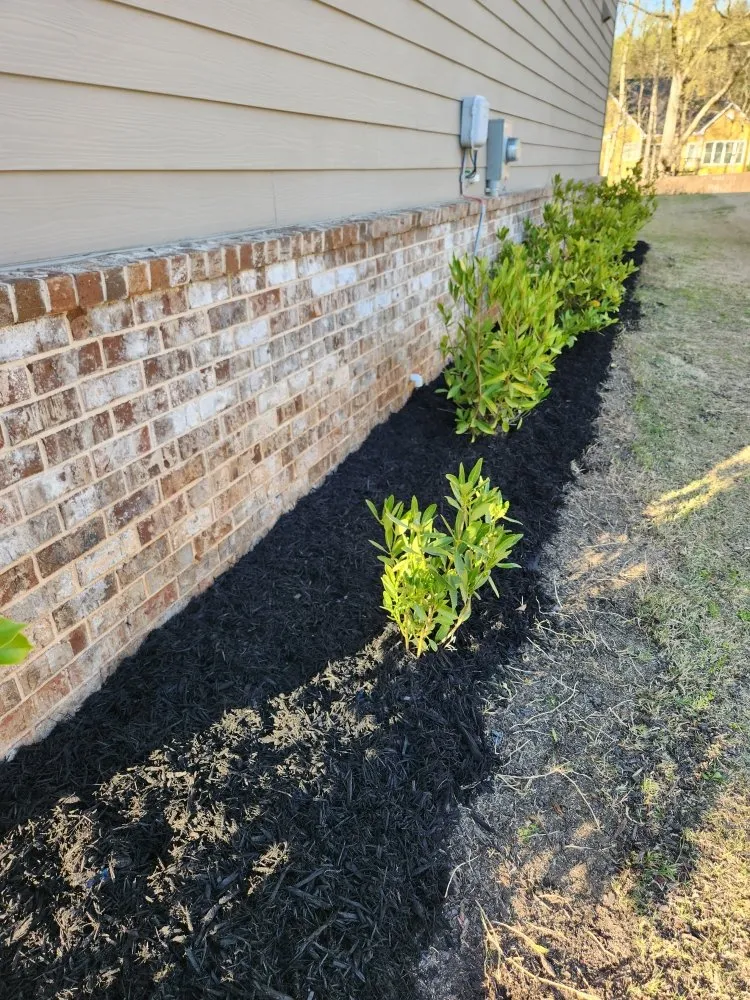 Local yard maintenance in Jefferson, GA by Hold the Line Lawn Care