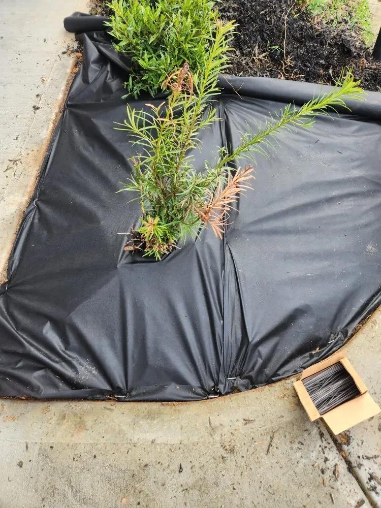 Expert landscaping services in Jefferson, GA by Hold the Line Lawn Care