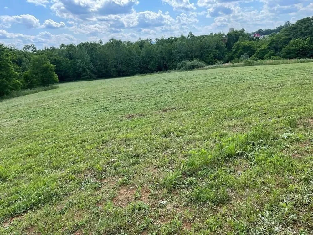 Local outdoor landscaping for residential properties across Lovettsville, VA - Holden Landscaping