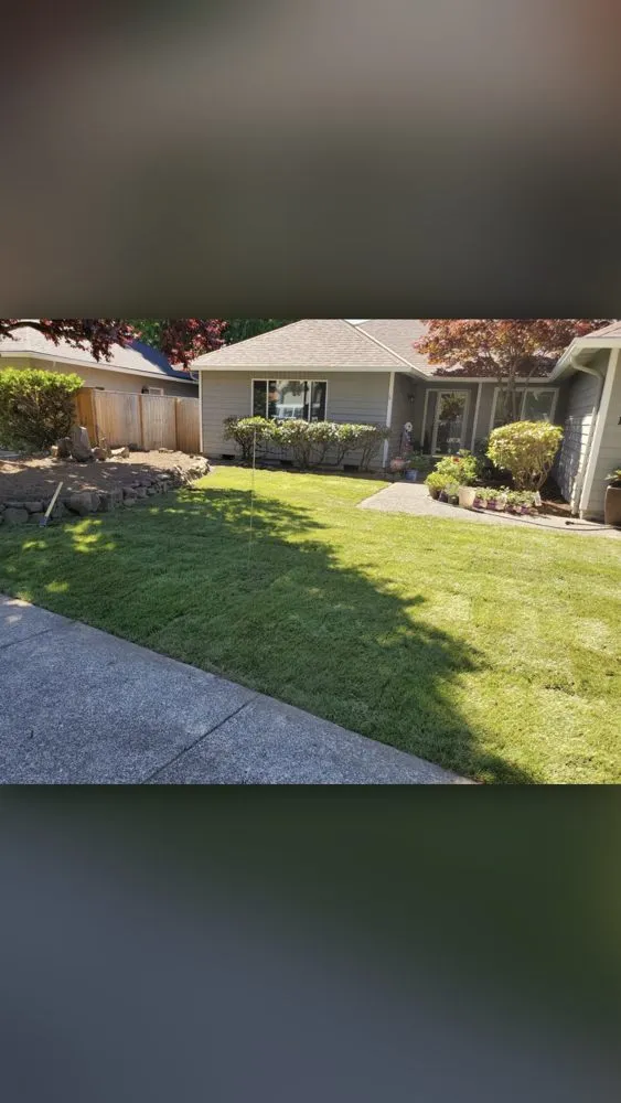 Professional yard cleanup service in North Highlands, CA by Holden’s Landscaping