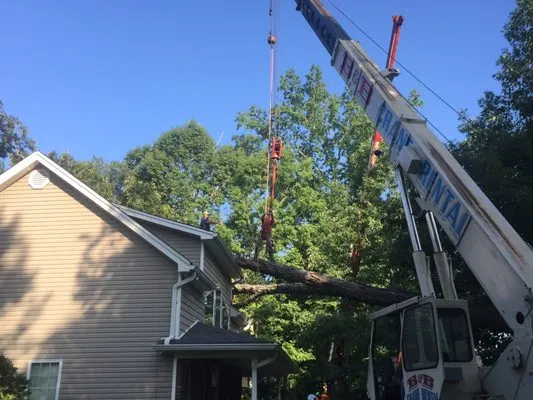 Holder & Jones Tree Service Logo