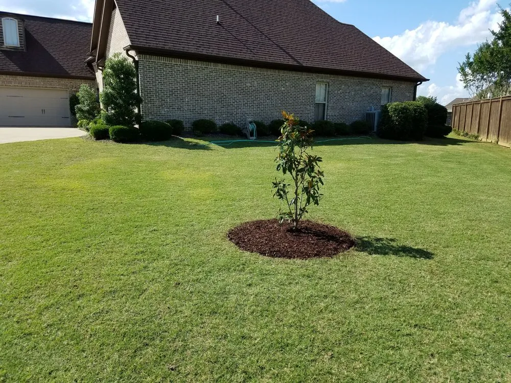 Expert landscape installation in Tupelo, MS by Holder Lawn Service