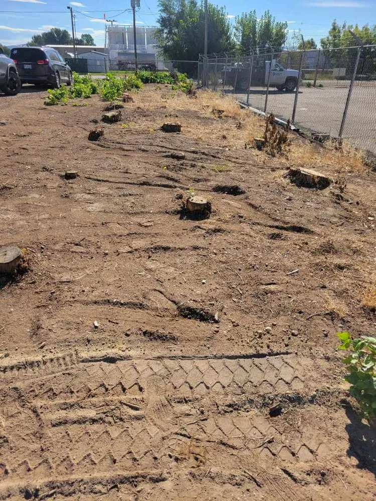 Affordable lawn mowing service in Roosevelt, UT - Holding Stump Removal LLC