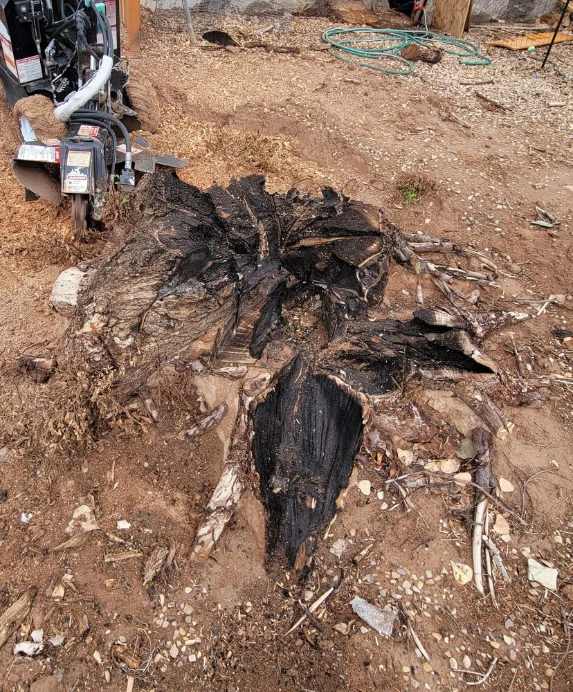 Custom lawn mowing service for year-round maintenance across Roosevelt, UT - Holding Stump Removal LLC