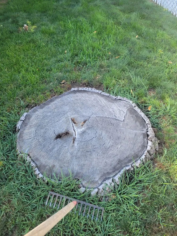 Professional yard cleanup service with custom design across Roosevelt, UT - Holding Stump Removal LLC