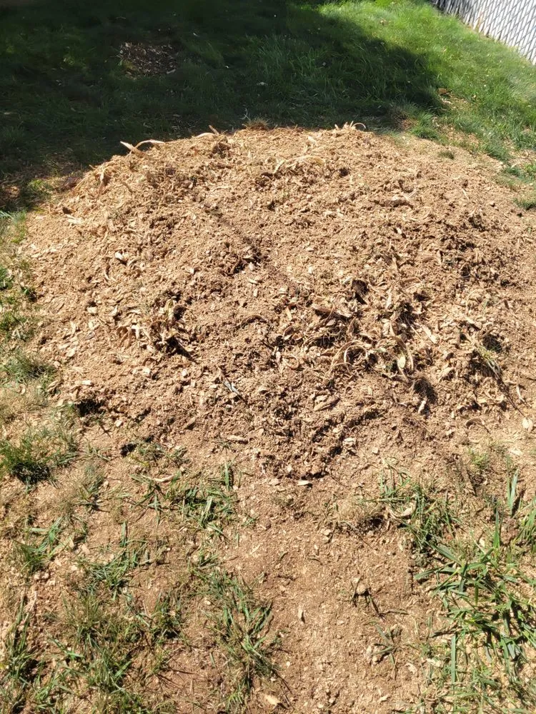 Trusted landscape design in Roosevelt, UT by Holding Stump Removal LLC