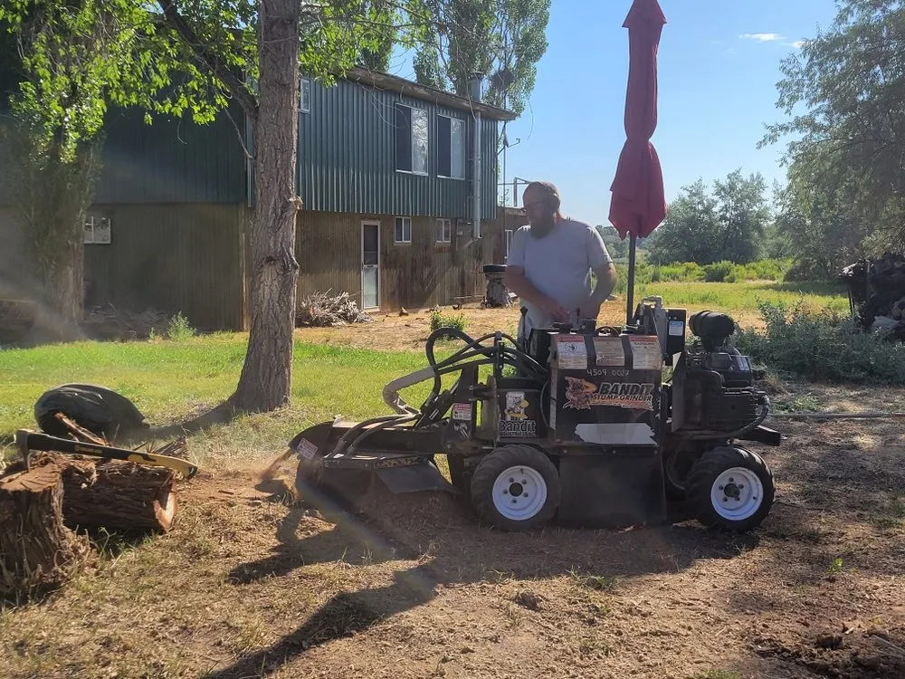 Trusted lawn care service in Roosevelt, UT - Holding Stump Removal LLC