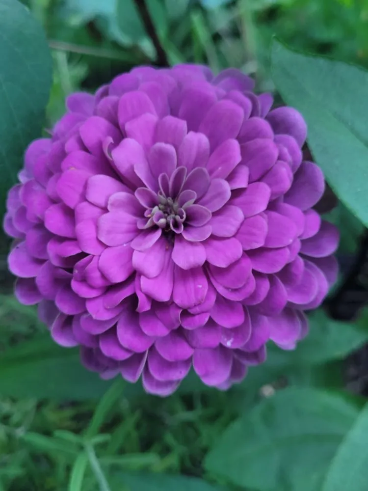 Local yard cleanup service with custom design across Fort Walton Beach, FL - Hole Nother Level