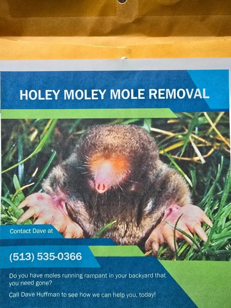 Trusted landscaping services in Aurora, IN - Holey Moley Mole Removal