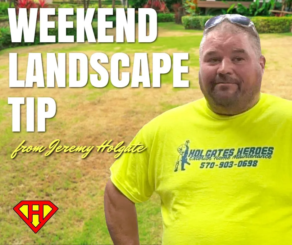 Expert landscaping services with custom design across Clarks Summit, PA - Holgate’s Heroes