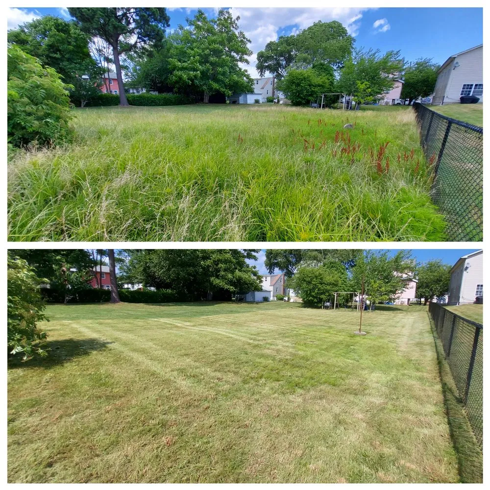 Reliable yard cleanup service for residential properties across Rahway, NJ - Holiday Yards