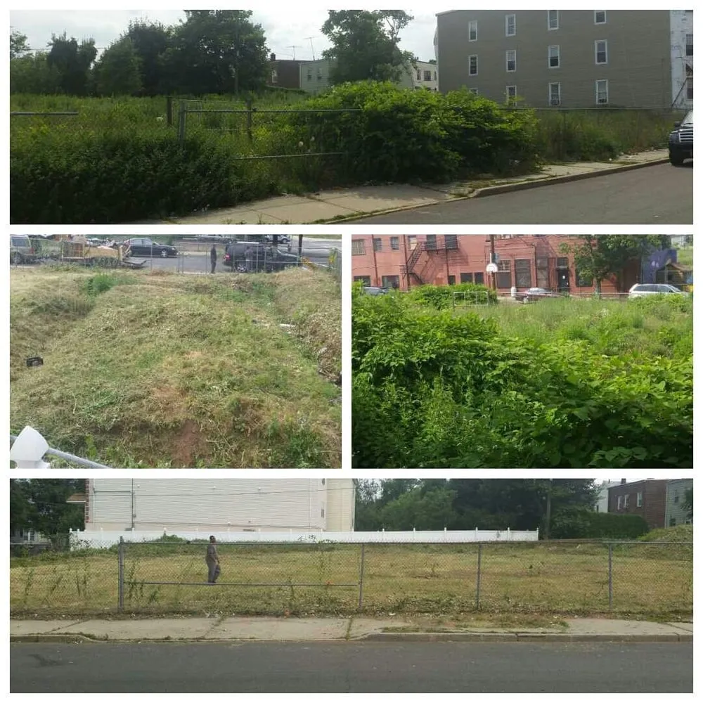 Top-rated yard cleanup service with custom design across Rahway, NJ - Holiday Yards