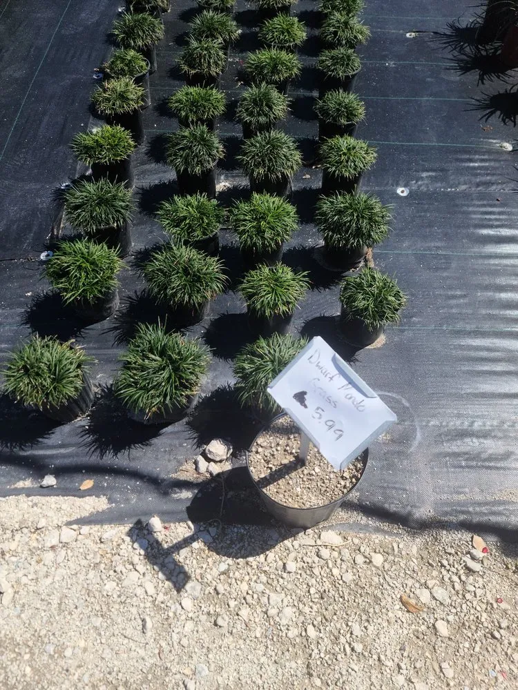 Professional outdoor landscaping experts serving Jacksonville, FL - Holiday's Nursery & Landscaping