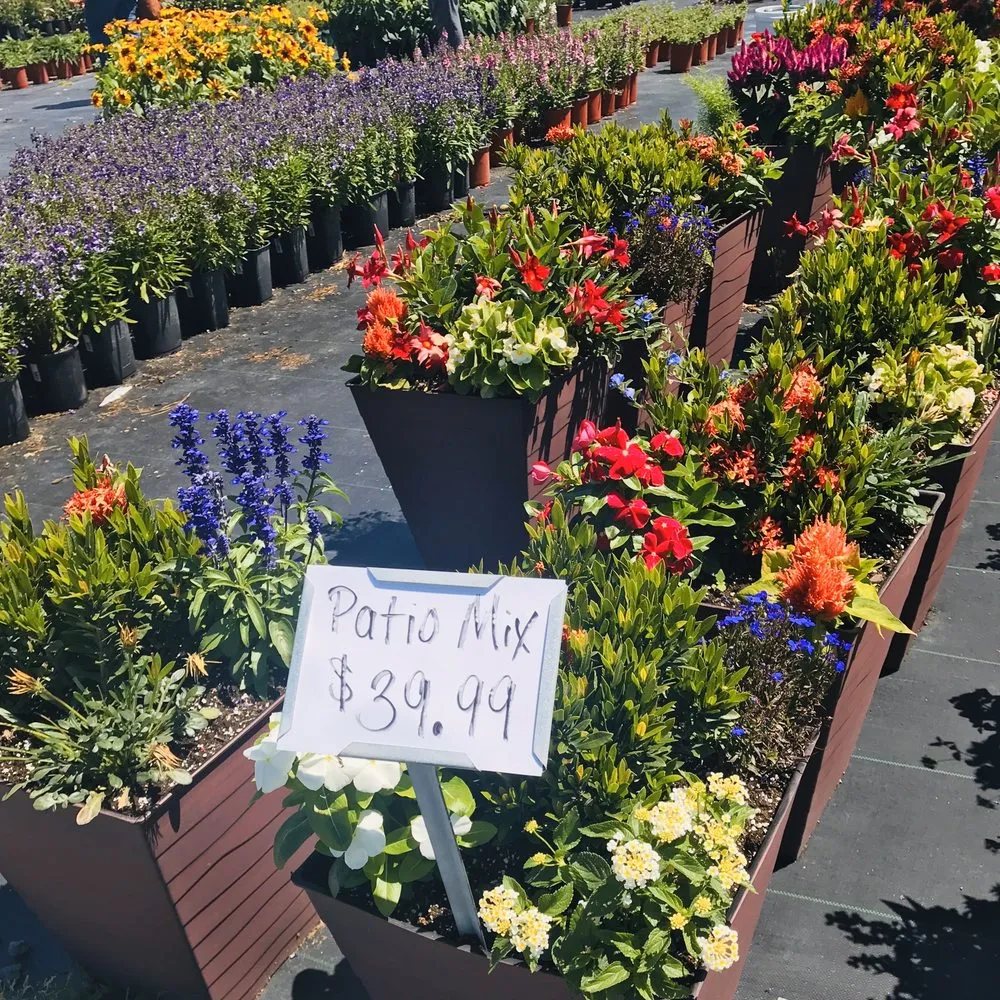 Local yard maintenance for residential properties in Jacksonville, FL by Holiday's Nursery & Landscaping