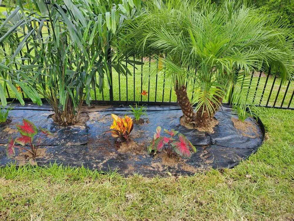 Custom lawn care service experts serving Jacksonville, FL - Holiday's Nursery & Landscaping