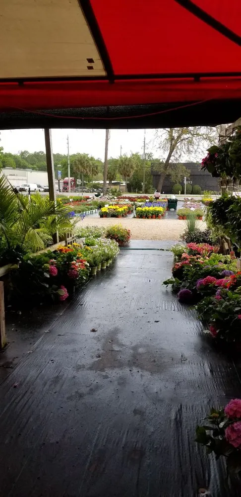 Custom lawn mowing service for year-round maintenance in Jacksonville, FL by Holiday's Nursery & Landscaping