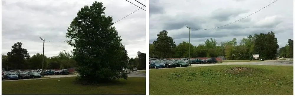 Local landscaping services experts serving Fayetteville, NC - Holidays Tree Service & Lawncare