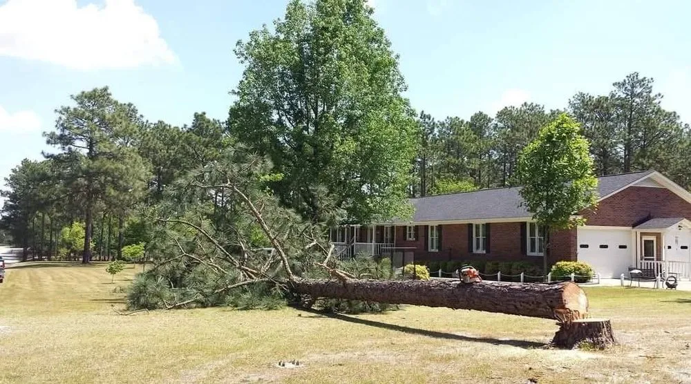 Local yard maintenance in Fayetteville, NC by Holidays Tree Service & Lawncare