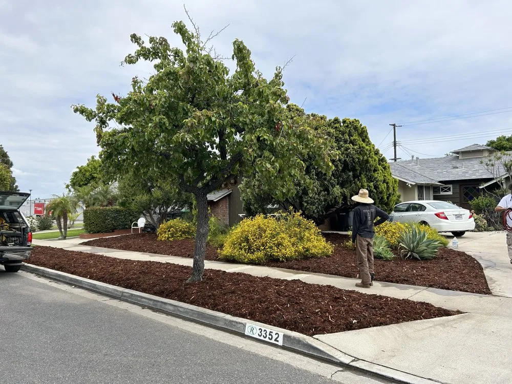 Reliable landscape installation with custom design across Long Beach, CA - Holistic Gardening Company
