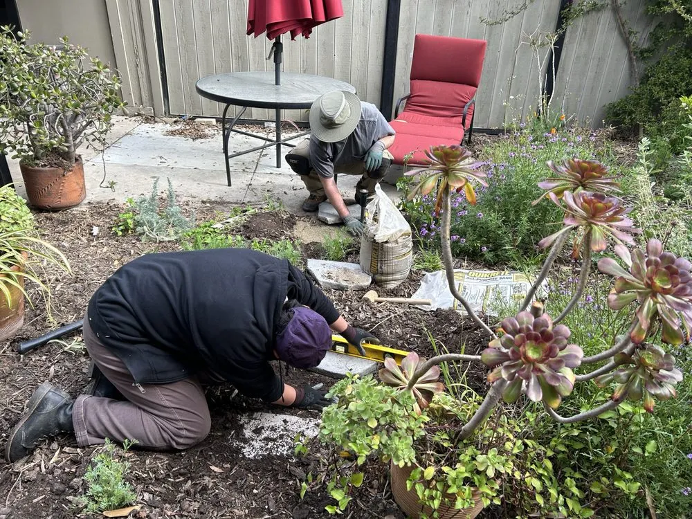 Top-rated outdoor landscaping in Long Beach, CA by Holistic Gardening Company