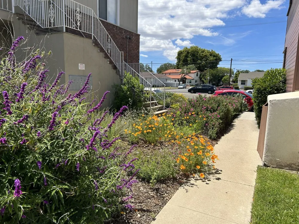 Affordable yard maintenance in Long Beach, CA - Holistic Gardening Company