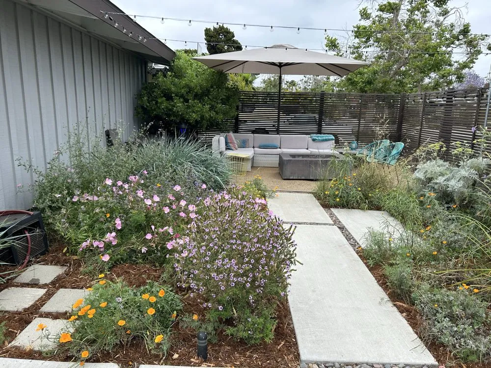 Top-rated landscape design in Long Beach, CA by Holistic Gardening Company