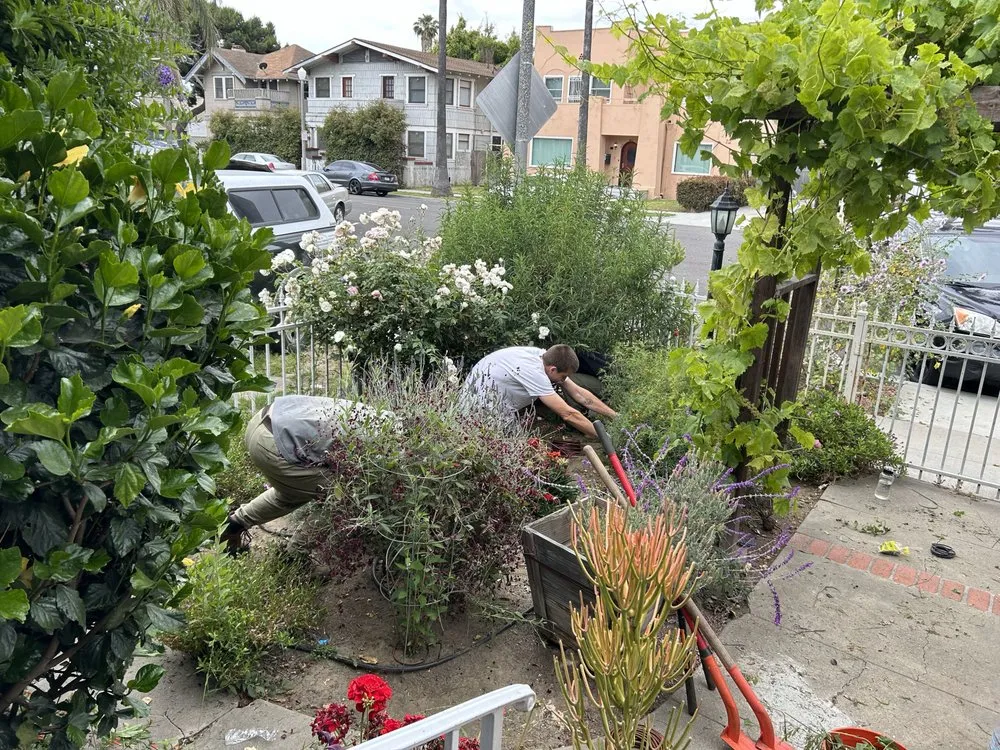 Local garden landscaping experts serving Long Beach, CA - Holistic Gardening Company