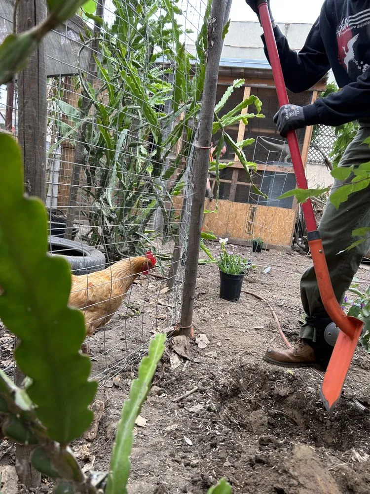 Affordable landscape installation in Long Beach, CA - Holistic Gardening Company