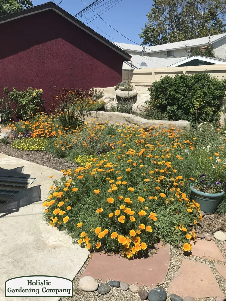 Top-rated landscape installation for beautiful yards across Long Beach, CA - Holistic Gardening Company
