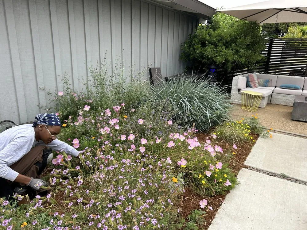 Trusted outdoor landscaping experts serving Long Beach, CA - Holistic Gardening Company