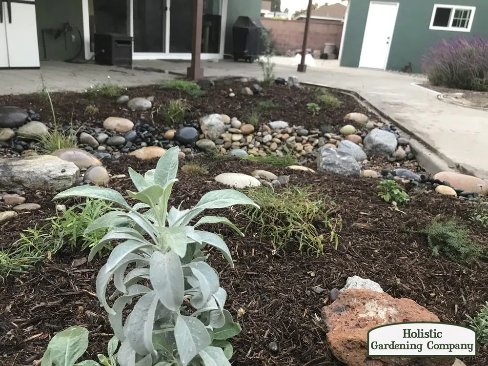 Expert landscaping services experts serving Long Beach, CA - Holistic Gardening Company