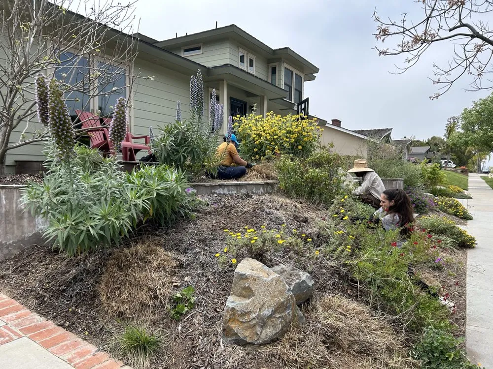 Professional landscaping services for residential properties in Long Beach, CA by Holistic Gardening Company