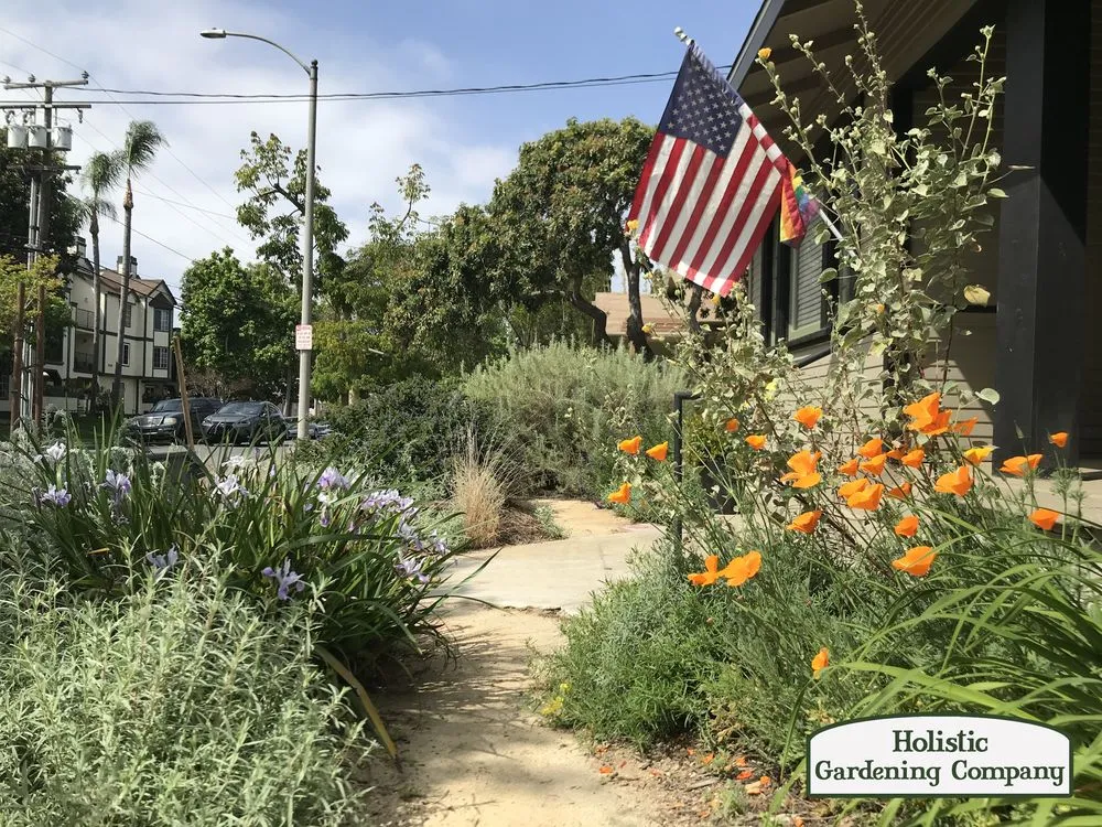Custom yard maintenance in Long Beach, CA - Holistic Gardening Company