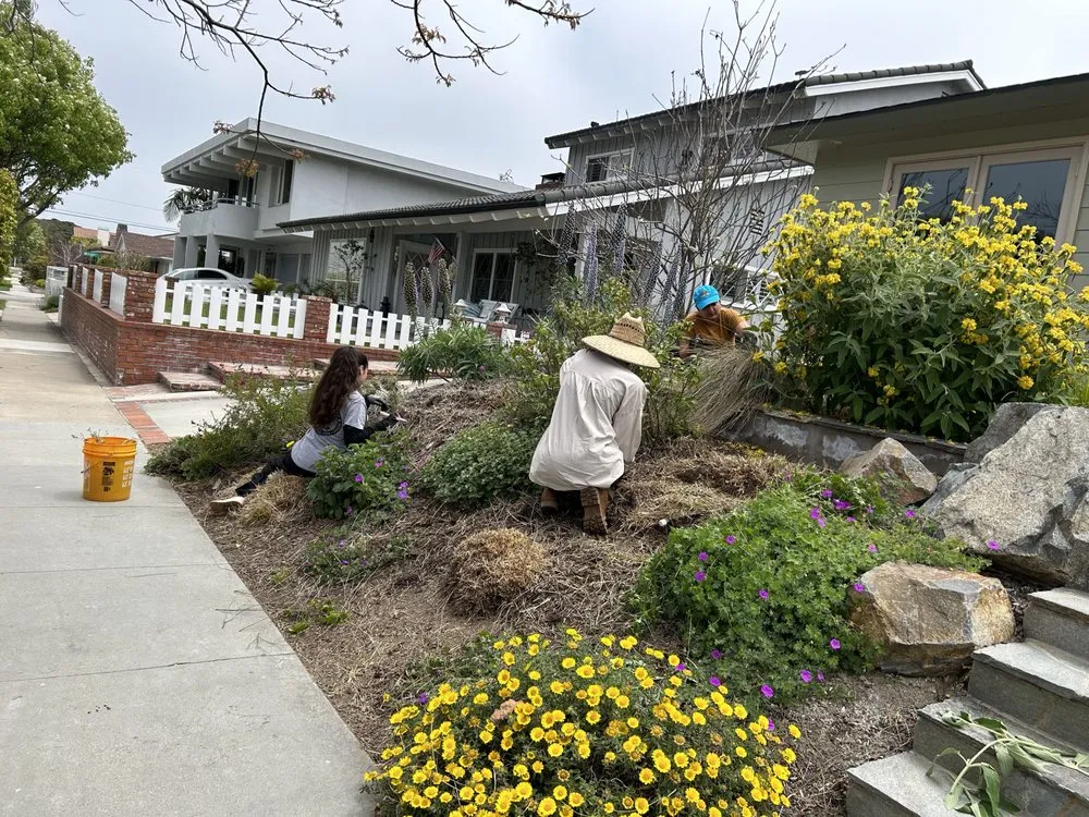 Custom yard cleanup service with custom design across Long Beach, CA - Holistic Gardening Company