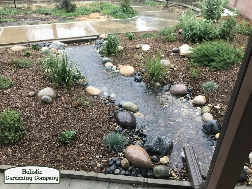 Professional yard cleanup service in Long Beach, CA by Holistic Gardening Company