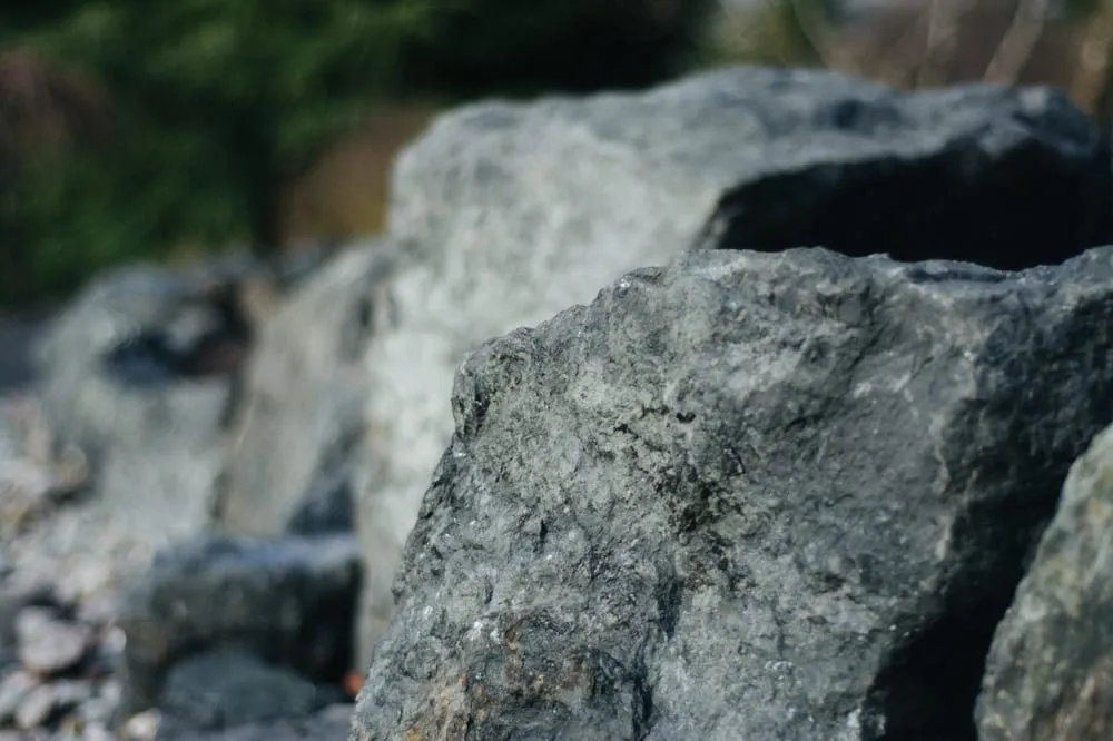 Top-rated yard maintenance in Carlsborg, WA - Holistic Horticulture and Landscaping