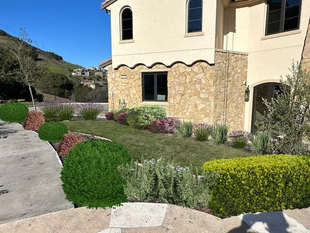 Trusted yard maintenance experts serving Antioch, CA - Holistic Landscape Services