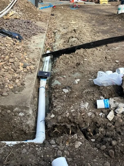 Professional lawn care service in Antioch, CA by Holistic Landscape Services