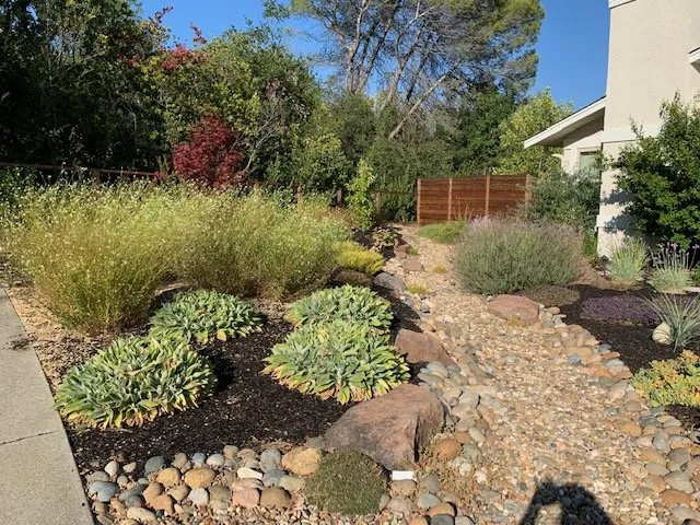 Top-rated lawn care service in Antioch, CA - Holistic Landscape Services